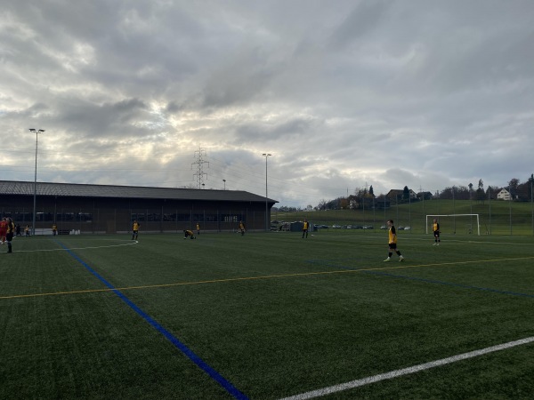 Sportplatz Schützenwiese Platz 3 - Rüti ZH