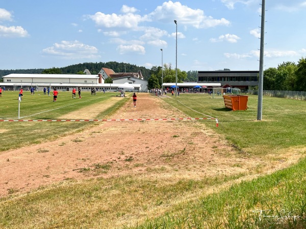 Sportplatz an der Donauhalle - Immendingen