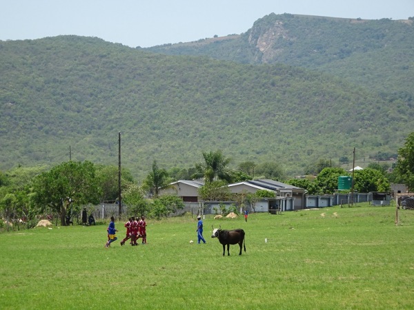 Mbasheni Sports Ground - Mbasheni
