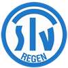 Wappen TSV 88/20 Regen  10918