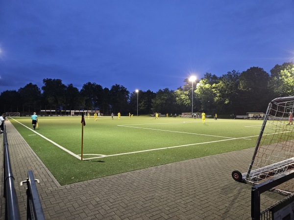 Bezirkssportanlage Düsseldorfer Straße Platz 2 - Duisburg-Wanheimerort