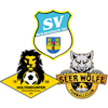 Wappen SpG Reichenbach/See/Holtendorf - Frauen (Ground A)