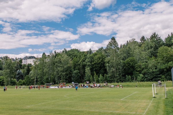 Sportplatz Reichenbacher Straße - Reichenbach/Vogtland-Mylau