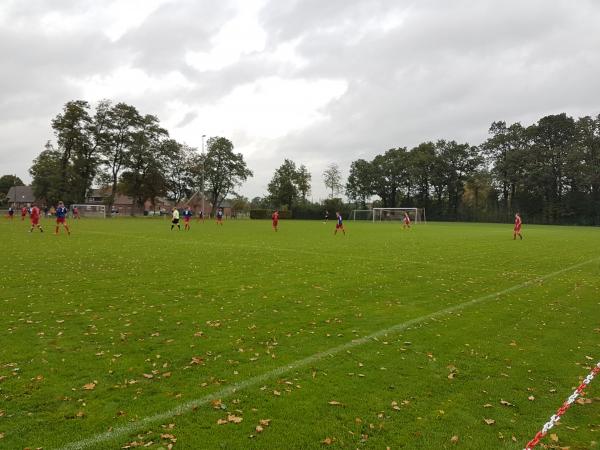 Walter-Steinkühler-Stadion III - Emsdetten-Isendorf