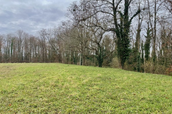 Waldsportplatz - Efringen-Kirchen-Huttingen