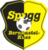 Wappen SpVgg. Bernkastel-Kues 1920 diverse  111422