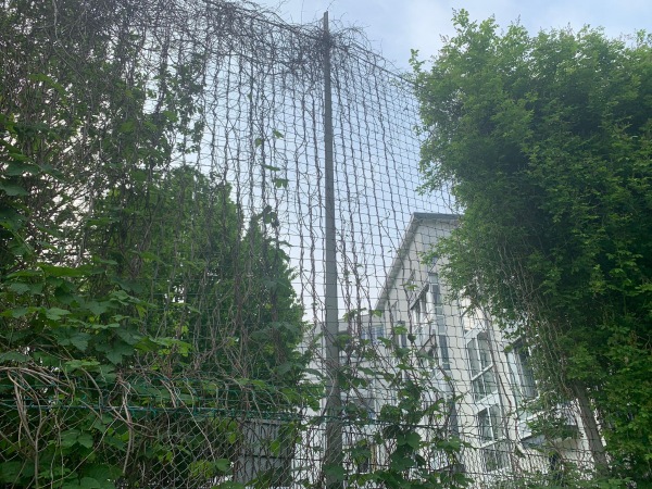 Sportplatz Langenberg - Herzogenrath-Kohlscheid