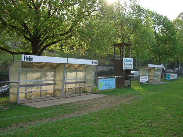 Alter Zustand (Naturrasen)
