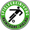Wappen SpVgg. Reinsdorf-Vielau 2009 diverse