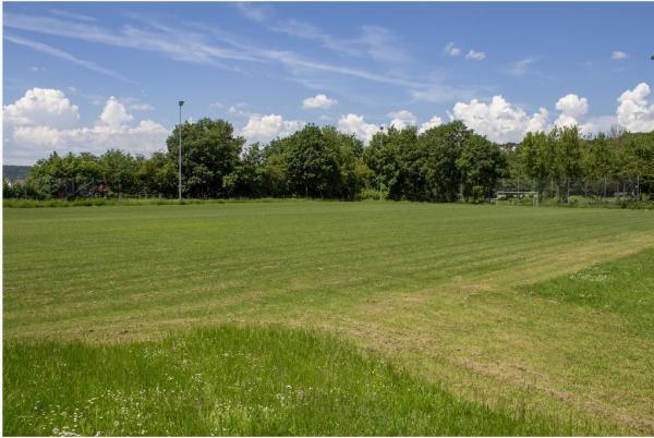 Sportgelände am Weinbergweg Platz 3 - Ulm/Donau-Söflingen