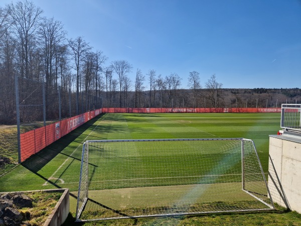 Voith-Arena Rasen-West Platz 2 - Heidenheim/Brenz