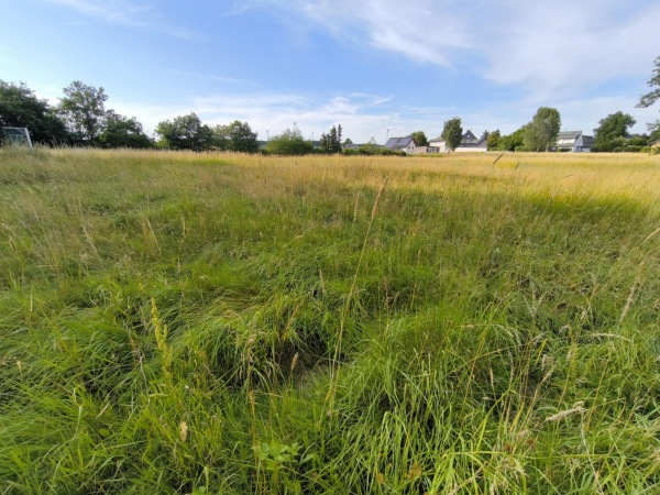 Sportplatz Anschau - Anschau