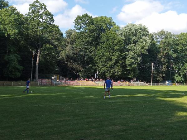 Stadion Gminny w Piotrowicach - Strzyżewice