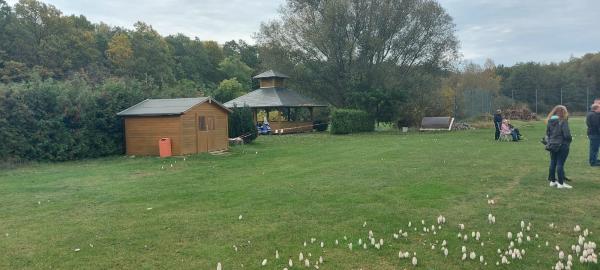 Sportanlage Okerblick - Didderse