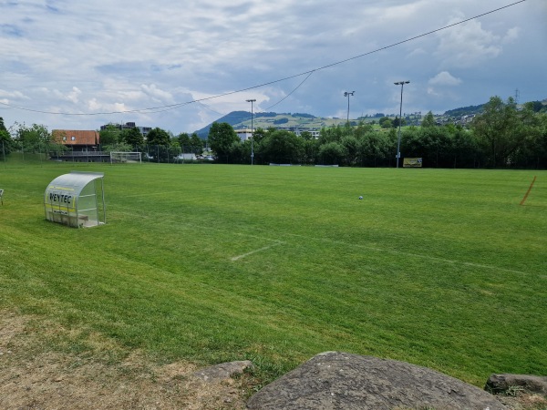 Sportplatz Erlenmoos Platz 2 - Wollerau