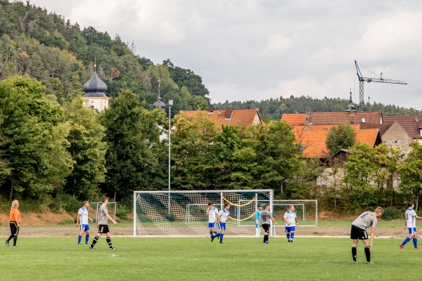 Sportanlage Georg-Schäfer-Straße - Ebelsbach-Gleisenau