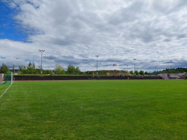 Sportanlage Griespark Platz 1 - Volketswil