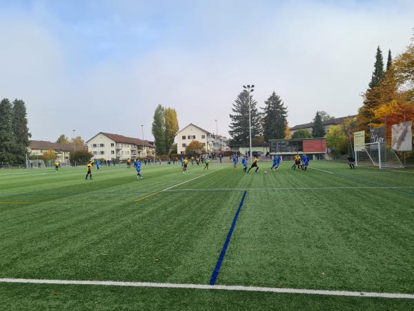 Sportplatz Steinkluppe - Zürich