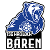 Wappen TSG Haßloch