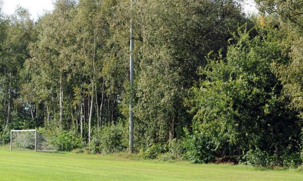 Sportplatz Schule Husbäke - Edewecht-Husbäke