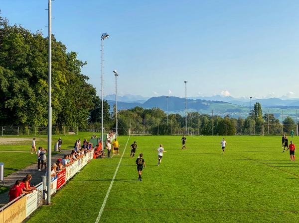 Sportplatz Widenbad - Männedorf