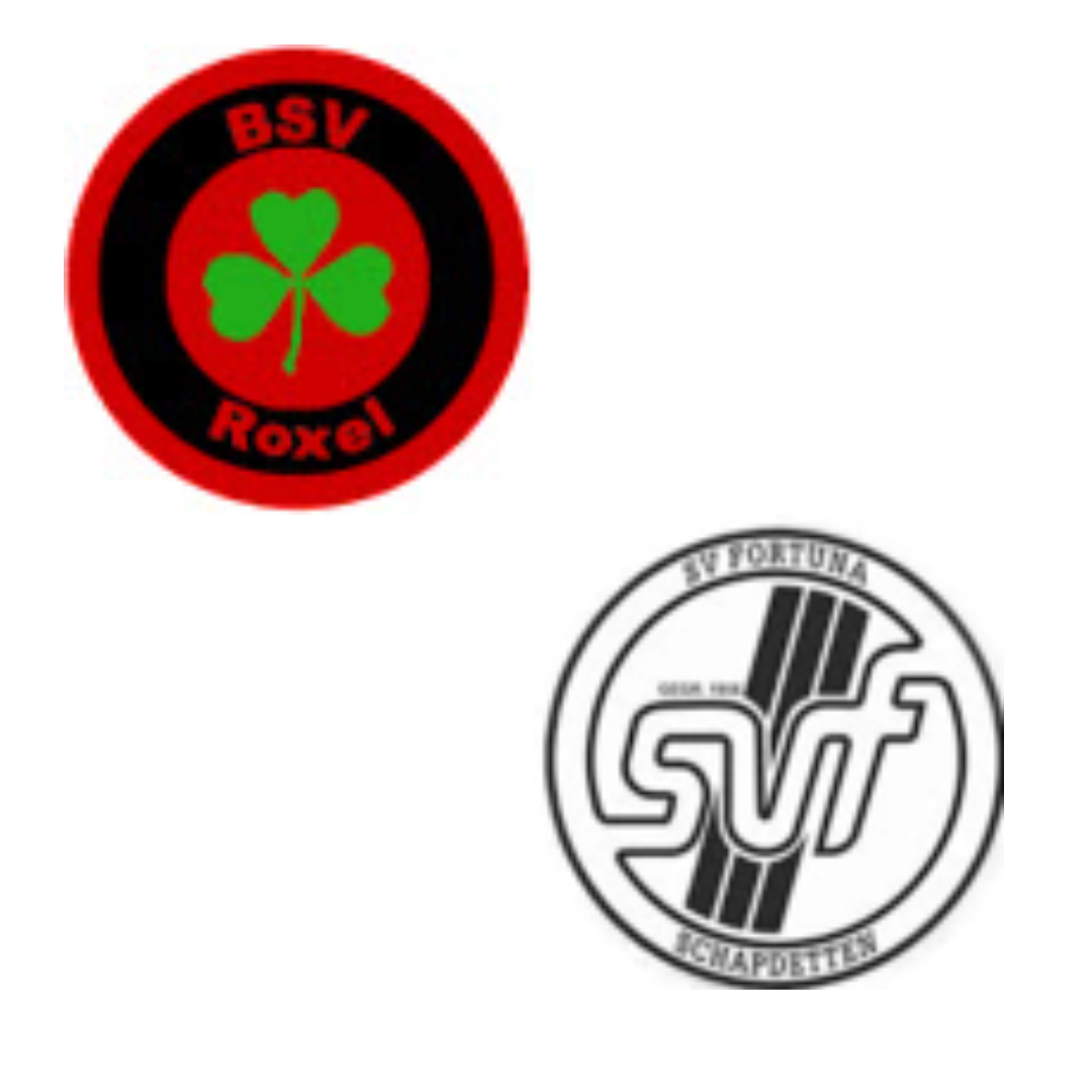 Wappen SG Roxel III / Schapdetten II (Ground B)  36105