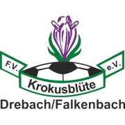 Wappen FV Krokusblüte Drebach/Falkenbach 1925 diverse