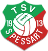 Wappen TSV 1913 Spessart diverse