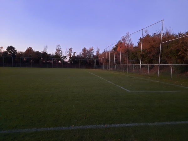 Sportpark Skoatterwâld veld F - Heerenveen