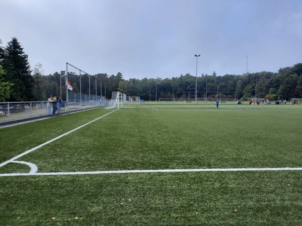 Sportpark Het Nieuwland veld 4 - Rheden-Dieren