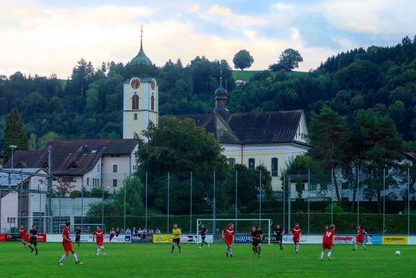 Sportplatz Risch - Ebikon