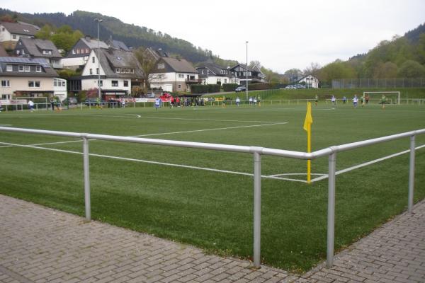 Theo Menke Arena - Winterberg-Niedersfeld