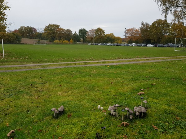 Waldstadion B-Platz - Dersau