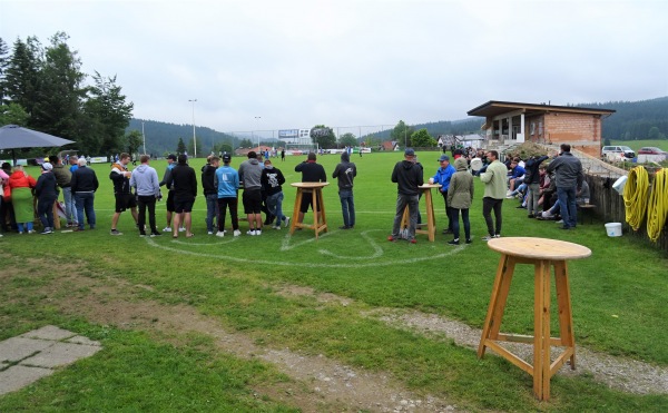 Viehbergarena - Sandl