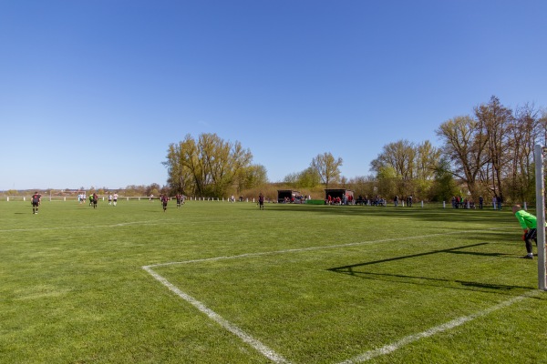 Günther Grünbaum Sportplatz - Höchstadt/Aisch