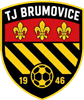 Wappen TJ Slezská Hořina Brumovice