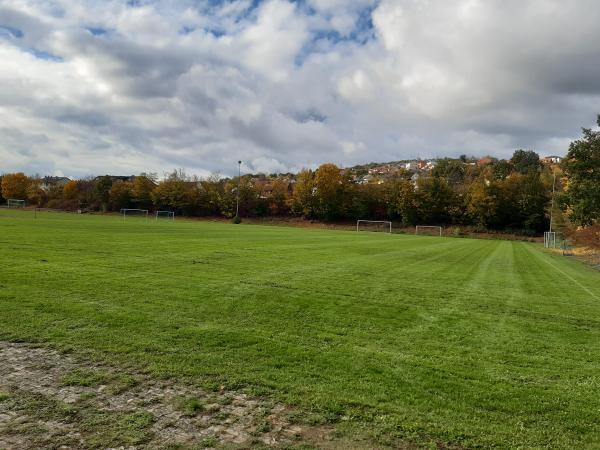 Sportanlage Georg-Schäfer-Straße Platz 2 - Ebelsbach-Gleisenau