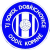 Wappen TJ Sokol Dobřichovice