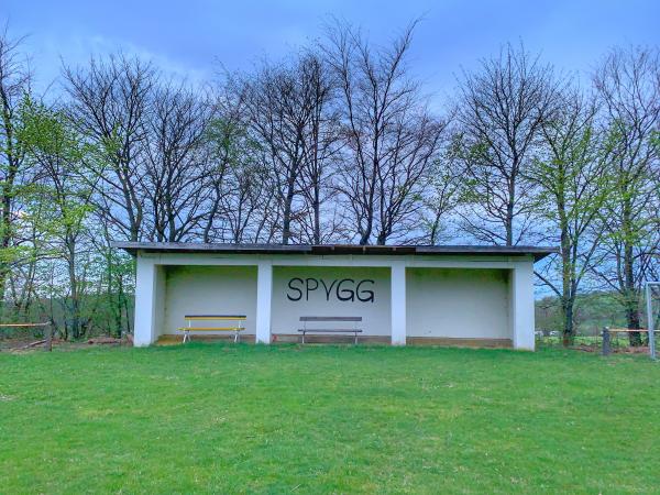 Sportplatz An der Kalten Buche - Grebenhain-Hartmannshain