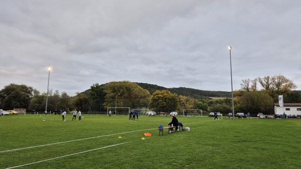 Klaus-Ditzhaus-Kampfbahn Nebenplatz - Hammelburg-Westheim