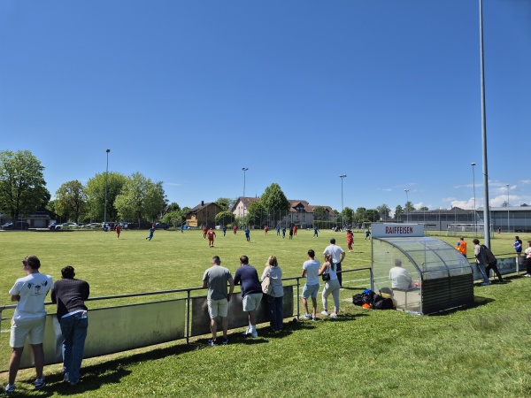 Sportplatz Staadfeld - Wangen an der Aare
