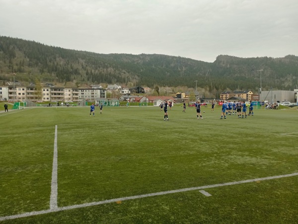Selfors kunstgressbanen - Selfors