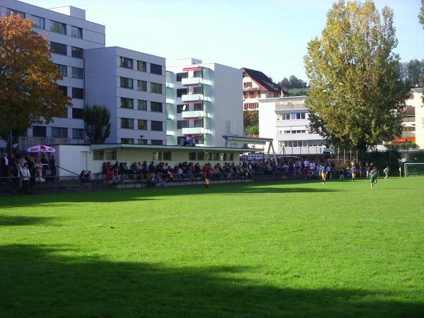 Sportplatz Schmiedhof - Ebikon