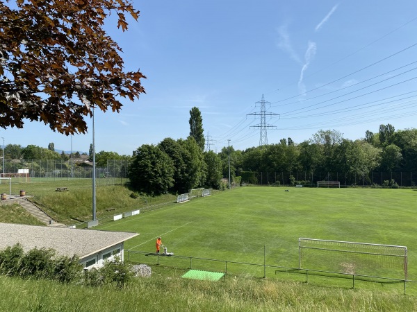 Centre Sportif de Satigny - Satigny