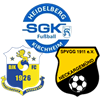 Wappen SG HD-Kirchheim II / Ziegelhausen/Peterstal/Neckargemünd - Frauen