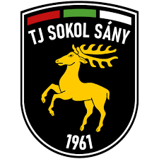 Wappen TJ Sokol Sány