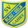 Wappen SV Blau-Gelb Gahry 1950 diverse