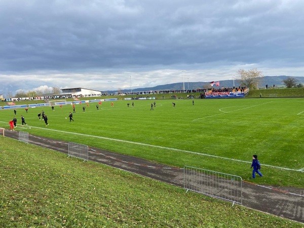 Panoramastadion - Sulz/Neckar-Holzhausen