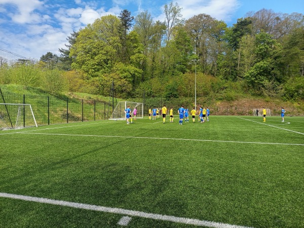 Lakeview Park - All Weather Pitch - Loughgall