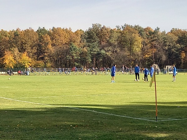 Boisko w Skarszewie - Skarszew